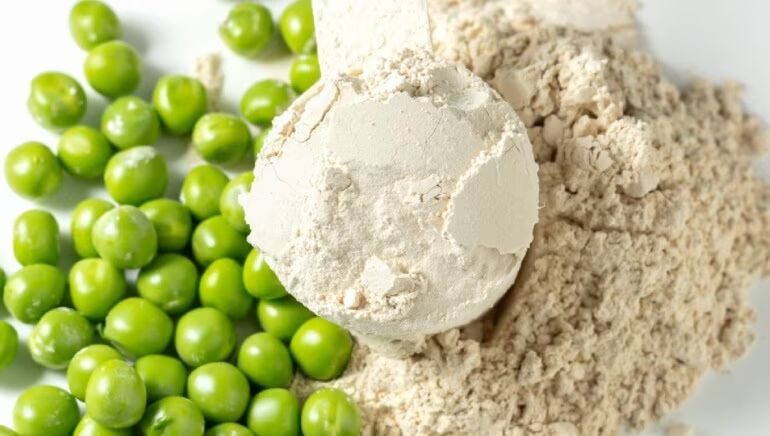 Top Vegan Protein Powders: Boost Your Muscle Power with Plant-Based Nutrition